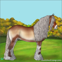 Horse Color:Silver Bay Onyx
