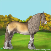 Horse Color:Chocolate Palomino Onyx 