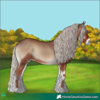Horse Color:Silver Blue Onyx