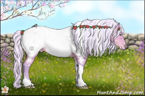 Horse Color:Watercolor Silver Amber Champagne Tobiano Near Fewspot Rabicano 