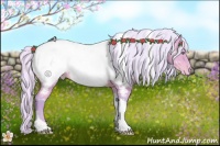 Horse Color:Watercolor Silver Amber Champagne Tobiano Near Fewspot Rabicano 
