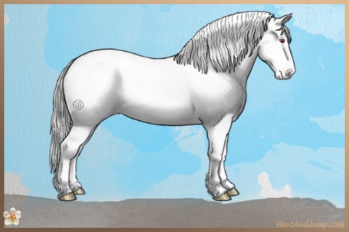 Horse Color:Bay Chinchilla Pearl Tobiano Blanket Rabicano 