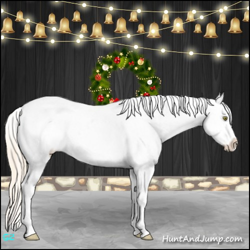 Horse Color:Gold Champagne Appaloosa  and Gold Cream Champagne Appaloosa 