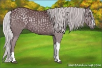 Horse Color:Chocolate Silver Black Chinchilla 