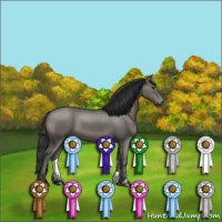 Horse Color:Grullo 