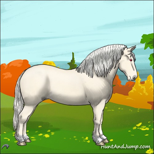 Horse Color:Palomino Chinchilla Rabicano 