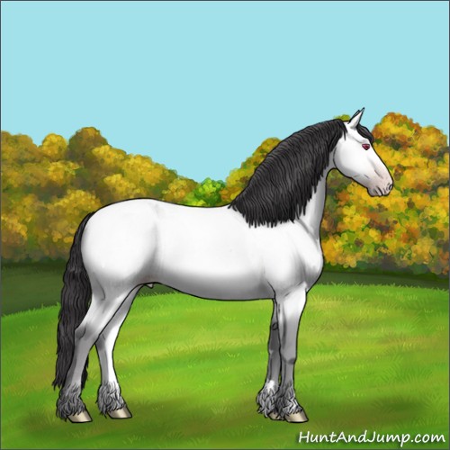 Horse Color:Amber Cream Champagne Chinchilla Rabicano 