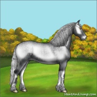 Horse Color:Silver Blue Onyx Chinchilla