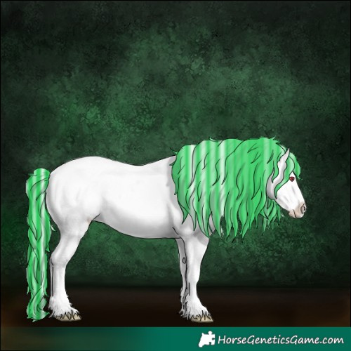 Horse Color:Painted Midnight Silver Grullo Chinchilla Ice Sabino Appaloosa Rabicano 