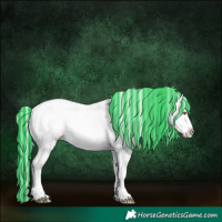 Horse Color:Painted Midnight Silver Grullo Chinchilla Ice Sabino Appaloosa Rabicano 