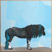 Horse Color:Midnight Liver Red Dun Ice Sabino Tobiano