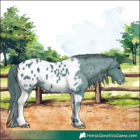 Horse Color:Watercolor Black Ice Tobiano Appaloosa 