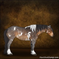Horse Color:White Spotted Buckskin Tobiano 