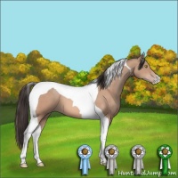 Horse Color:Amber Champagne Tobiano