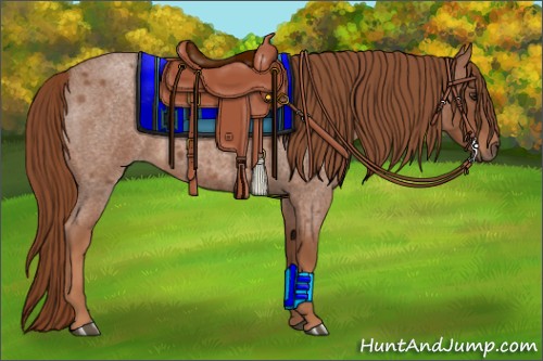 Horse Color:Red Roan 