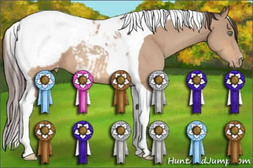 Horse Color:Amber Champagne Tobiano Snowcap 