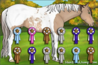 Horse Color:Amber Champagne Tobiano Snowcap