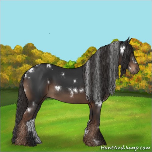 Horse Color:White Spotted Liver Chestnut Rabicano