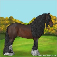 Horse Color:Brown 