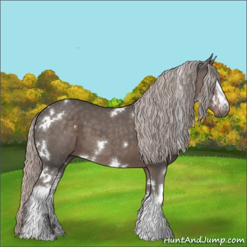 Horse Color:White Spotted Silver Black 