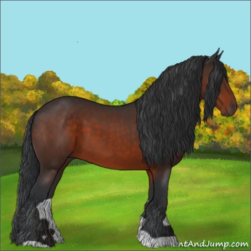 Horse Color:Brown 
