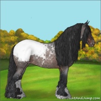 Horse Color:Brown Roan Snowcap