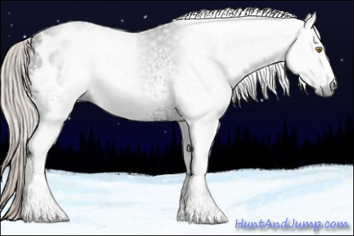 Horse Color:Gray White Spotted Silver Bay Blanket 
