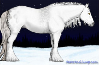 Horse Color:Gray White Spotted Silver Bay Blanket