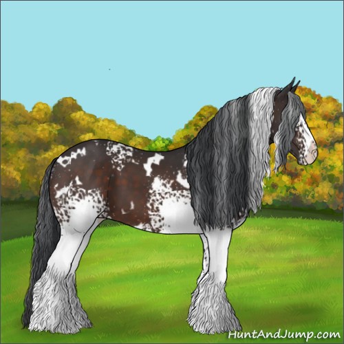Horse Color:White Spotted Brown 
