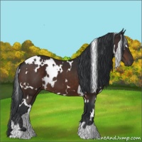 Horse Color:White Spotted Brown 