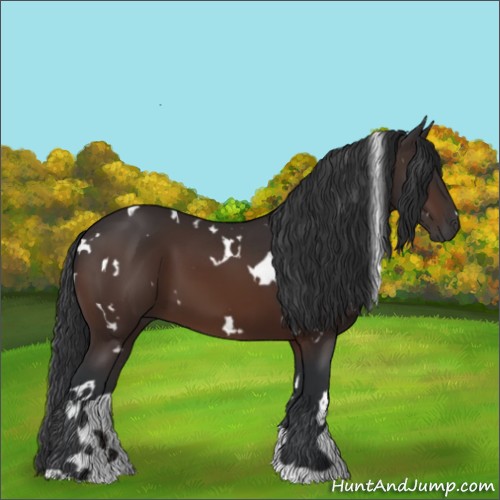 Horse Color:White Spotted Brown 