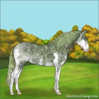 Horse Color:Watercolor Red Dun Ice Splash