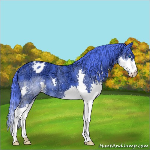 Horse Color:Watercolor Black Ice Splash Appaloosa 