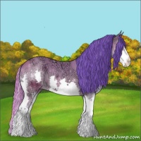 Horse Color:Watercolor Bay Ice Splash