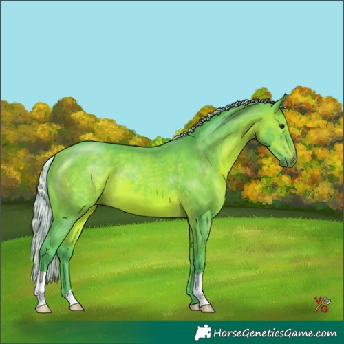 Horse Color:Watercolor Silver Brown 