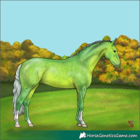 Horse Color:Watercolor Silver Brown 