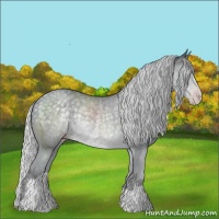Horse Color:Silver Classic Champagne Chinchilla Rabicano