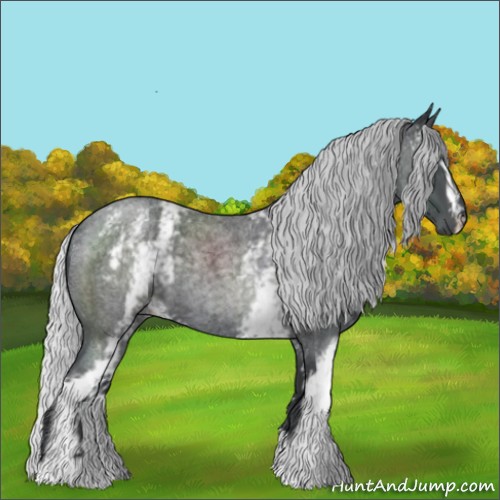 Horse Color:White Spotted Silver Blue Chinchilla Roan 
