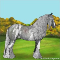 Horse Color:White Spotted Silver Blue Chinchilla Roan