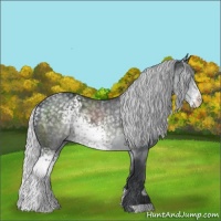 Horse Color:White Spotted Silver Black Chinchilla