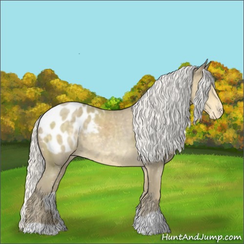 Horse Color:Silver Classic Cream Champagne Chinchilla Appaloosa Rabicano