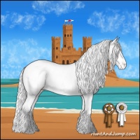 Horse Color:Chestnut Chinchilla Appaloosa 