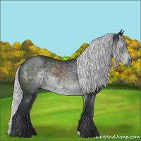 Horse Color:Silver Black Chinchilla