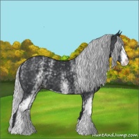 Horse Color:White Spotted Silver Black Chinchilla Sabino