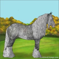 Horse Color:Silver Classic Champagne Chinchilla Ice