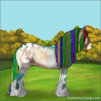 Horse Color:Painted Bay Onyx Appaloosa 