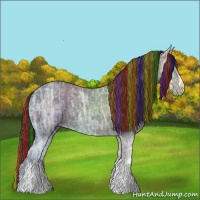 Horse Color:Painted Liver Chestnut Ice 