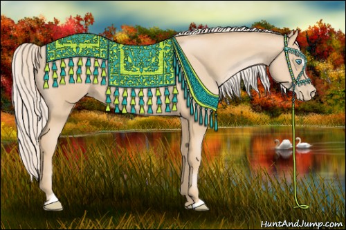 Horse Color:Palomino Pearl Sabino 