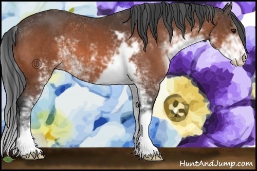 Horse Color:Brown Sabino