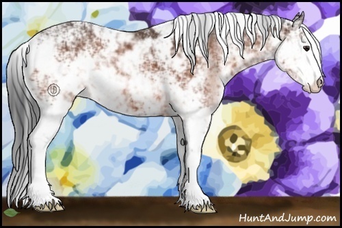 Horse Color:Brown Sabino Rabicano